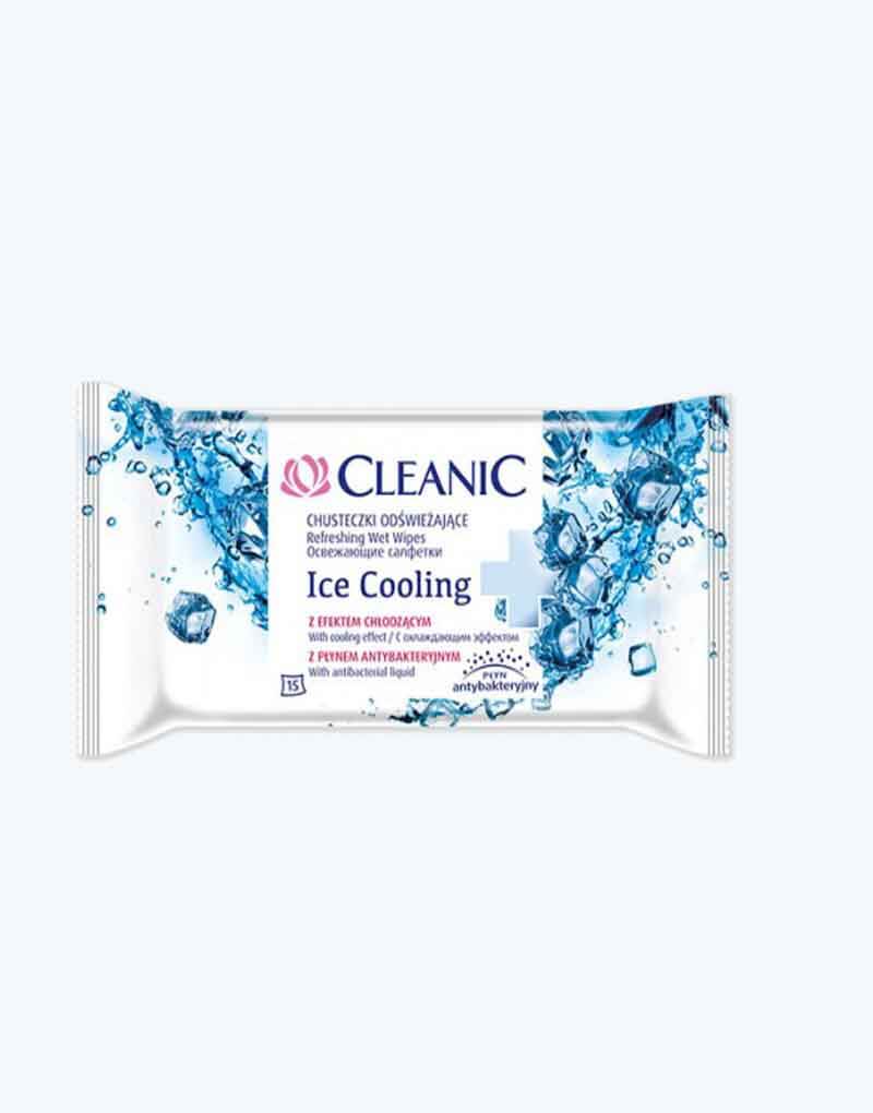 CLEANIC ANTI-BACTERIA WIPES X15